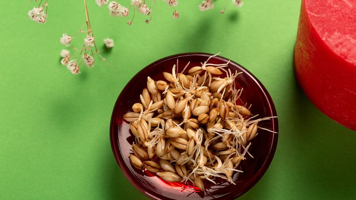 Sprouted seeds in a red bowl on green background with white flowers and red candle.